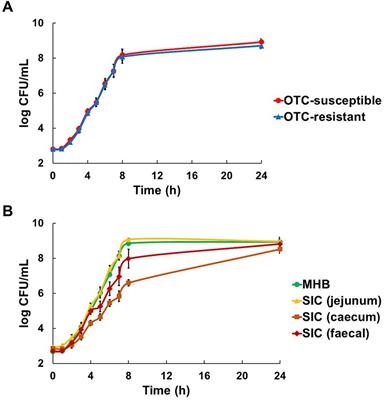 The sub-MIC selective window decreases along the digestive tract: determination of the minimal selective concentration of oxytetracycline in sterilised intestinal contents